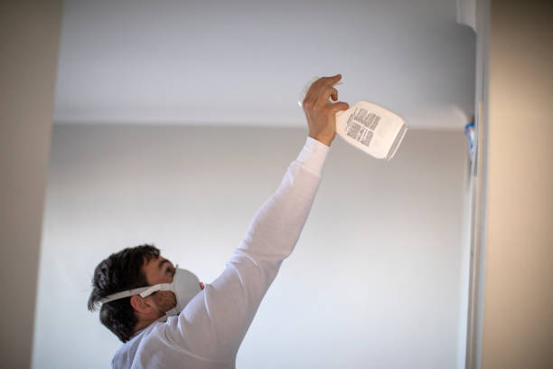 Best Preventive Mold Services in Lake Zurich, IL