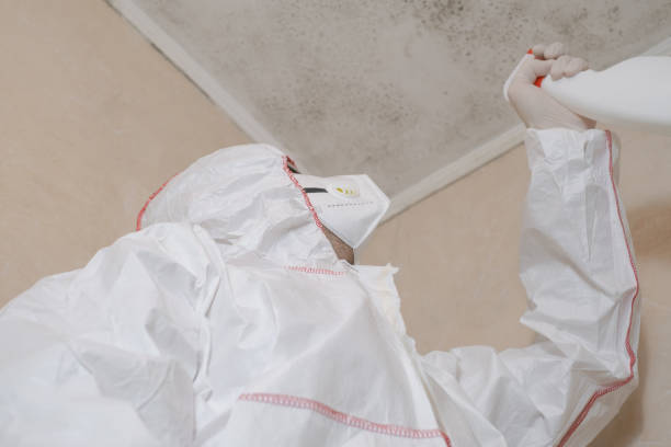 Best HVAC Mold Remediation in Lake Zurich, IL