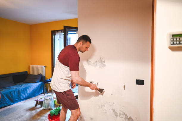 Best Residential Mold Remediation in Lake Zurich, IL